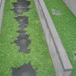 Application of clay aggregate in Biological Aerated Filter