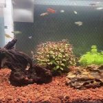 Red Lava Stones Aquarium Rock for Aquascaping Terrariums, Paludariums,Vivariums, Reptile and Amphibian Enclosures, Fish Tank Decoration Landscape Stone