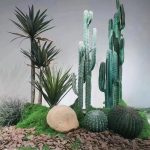 Orchids pine bark/landscaping pine bark